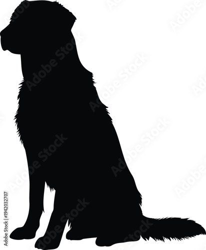 "Labrador retriever dog silhouette vector illustration, black labrador retriever dog breed icon, domestic pet animal symbol design, labrador retriever, labrador dog, labrador silhouette, dog silhouett