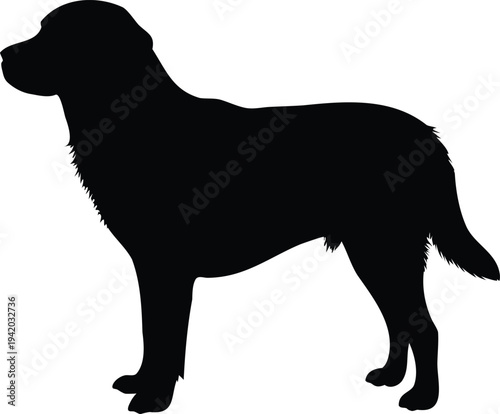 "Labrador retriever dog silhouette vector illustration, black labrador retriever dog breed icon, domestic pet animal symbol design, labrador retriever, labrador dog, labrador silhouette, dog silhouett
