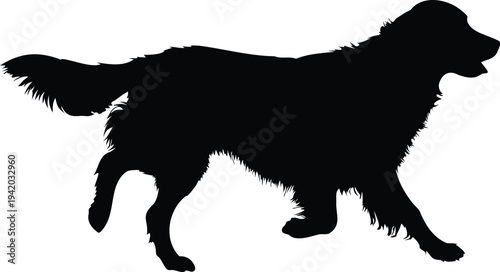 "Labrador retriever dog silhouette vector illustration, black labrador retriever dog breed icon, domestic pet animal symbol design, labrador retriever, labrador dog, labrador silhouette, dog silhouett