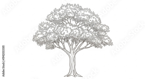 Detailed Illustration of a Large Tree with Extensive Branches and Foliage.