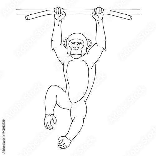 Monkey hanging from a horizontal bar with both hands outdoors