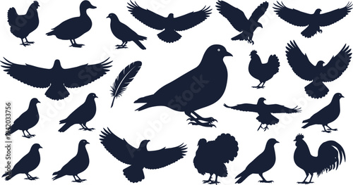 Bird silhouette set including pigeon duck chicken and eagle, cad drawing flat vector illustration, poultry and wildlife icons isolated on white.