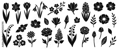 Spring flower silhouettes set with peony and daffodil narcissus blooms, tulips, lilies, and leaves in black