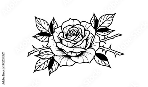 Vintage rose flower t-shirt design hand drawn rose vector illustration