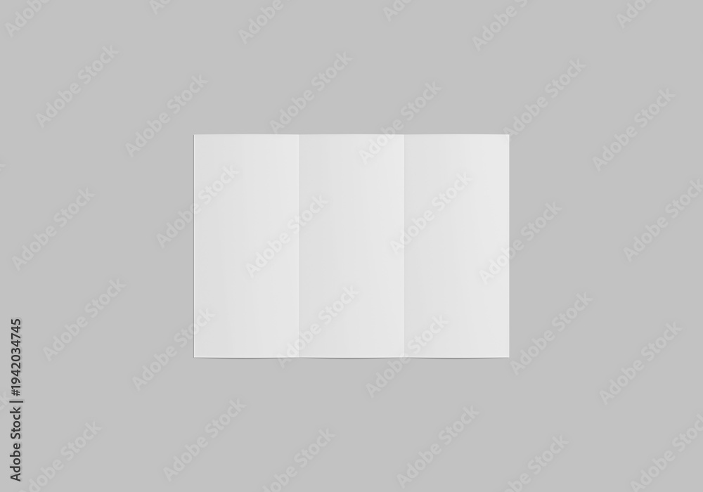 Fototapeta premium Blank DL Trifold Brochure Mockup