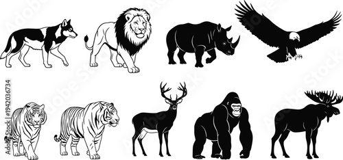 Collection of Wildlife Animal Silhouettes, Lion, Tiger, Rhino, Eagle, Gorilla, Moose, Wolf, and Deer, cad drawing flat vector illustration, Nature Fauna.