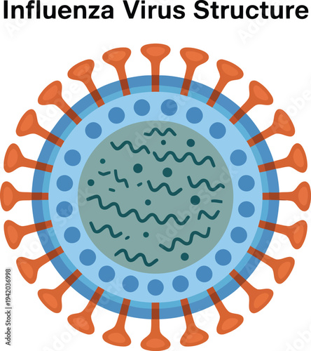 This educational depiction highlights the intricate elements forming an influenza virus microorganism