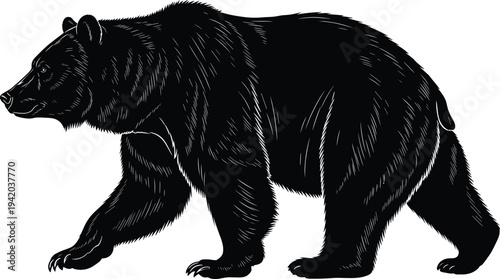 Grizzly Bear Vector Silhouette, Walking Brown Bear Mascot, Wild Forest Animal Woodcut Illustration, Large Predator Nature Design, Logo, Strength, Wilderness