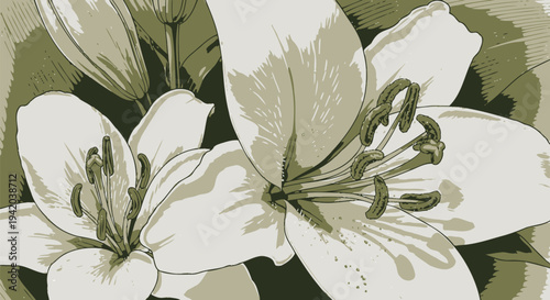 Vector floral pattern with white lilies and green leaves