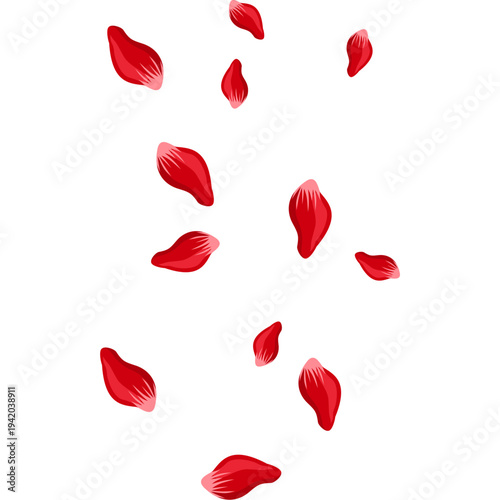 Falling red rose petals