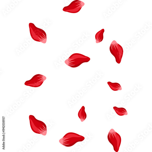 Falling red rose petals