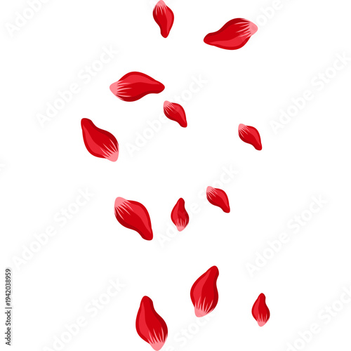 Falling red rose petals