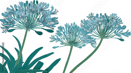 Artistic depiction of blue flowers with green stems and leaves, set against a pristine white background