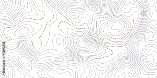 Vector geographic contour mounted map background.The stylized height of the topographic map contour in lines and contours isolated on transparent.Concept of simple geography and terrain .
