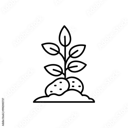 Potato Plant Growing in Soil Line Icon, Garden Root Crop Outline Symbol for Agriculture and Gardening UI