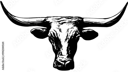 A black and white illustration of a longhorn bull head with large horns