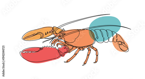 Detailed line art illustration of a lobster with vibrant orange and red color splashes on a clean white background.