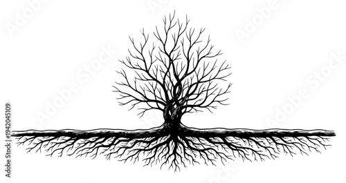 Detailed drawing of a leafless tree with deep roots spreading underground