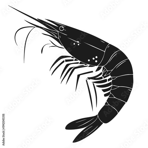 vector illustration silhouette shrimp with clear lines and details. The shrimp has long antennae and many legs. It is designed in black and white with no colors