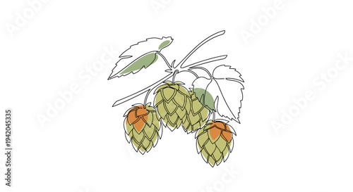 Continuous line art illustration of a branch of hops with green leaves and cones used in brewing beer representing organic agriculture and farming.