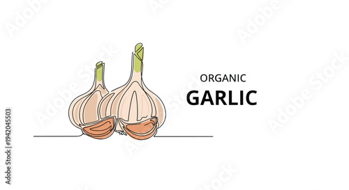 Pair of organic garlic bulbs shown in a clean one line drawing style with green stems emphasizing fresh ingredients and healthy cooking at home.