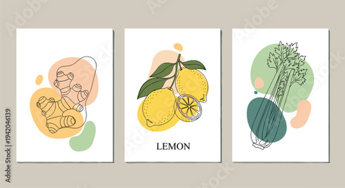 Set of three botanical art posters featuring hand drawn sketches of lemon, ginger root, and celery with colorful abstract pastel shapes.
