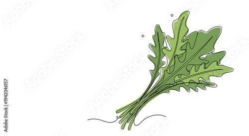 Fresh arugula leaves with characteristic jagged edges shown in a simple and clean continuous line drawing style for culinary design use.