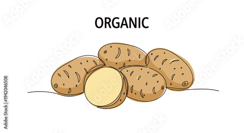 Pile of fresh organic potatoes with one potato cut in half shown in a minimalist continuous line art drawing on a white background.