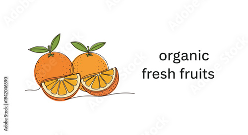 Stylized illustration featuring two whole oranges and two juicy wedges with green leaves for healthy organic fruit promotion.