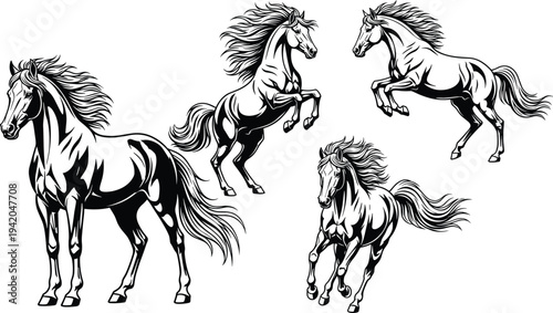 Set of detailed black and white horse illustrations isolated on white background, wild stallion vector sketches for equestrian sport logos.