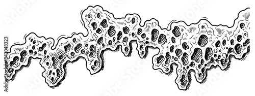 Organic abstract shape with many holes resembling coral or bone structure in engraved style