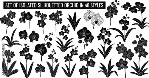 Set of isolated silhouetted orchid flowers in forty styles, black floral vector elements, botanical bloom silhouettes, tropical plant collection for design.