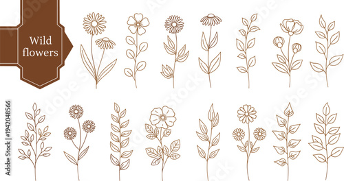 Set of isolated silhouetted orchid flowers in forty styles, wildflower meadow line art border, cad drawing flat vector illustration, botanical sketches.