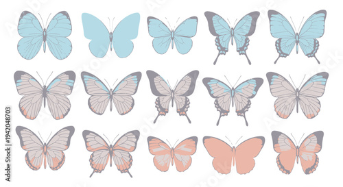 Set of 12 butterfly icons vector, colorful, illustration