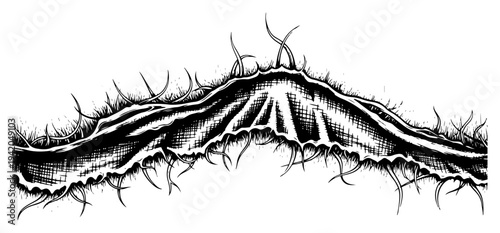 Organic tear with hairy fibers or roots in a detailed engraving illustration style