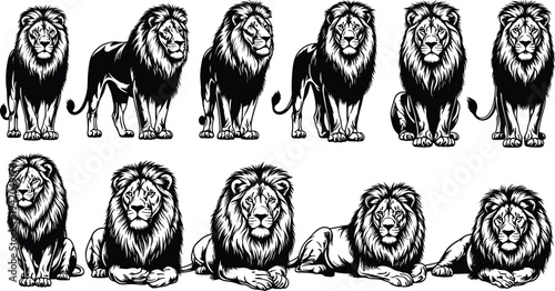 Set of lion vector illustrations in woodcut style, featuring standing and sitting regal male lions, black and white engraved icons.