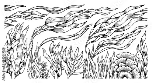 Underwater seabed scene with floating seaweed and marine plants