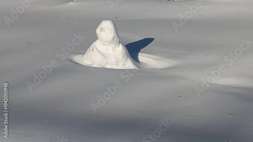 Snowman is drowning in snow, snowy, white cover.