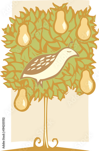 Christmas image of a partridge in a pear tree.