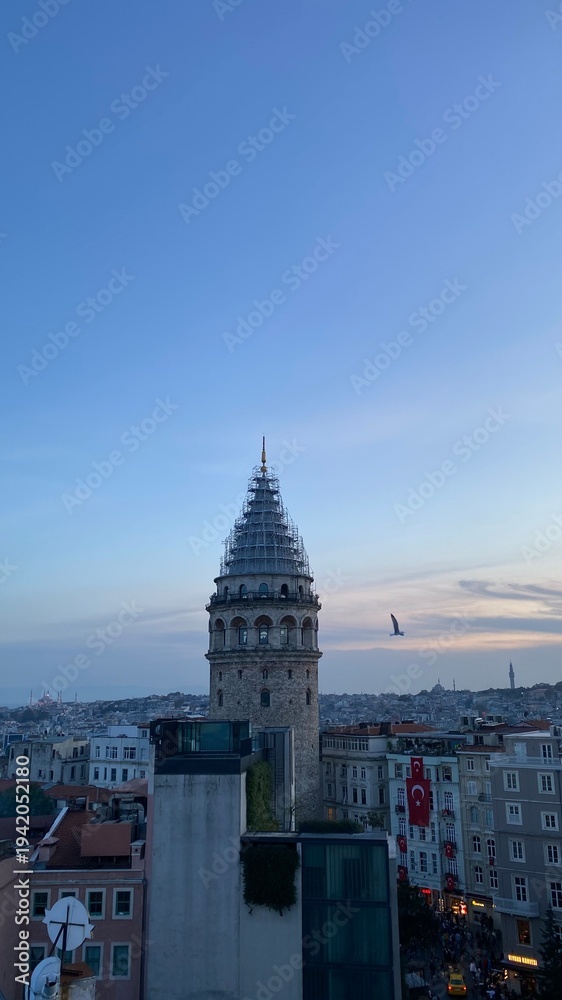 Obraz premium tower view