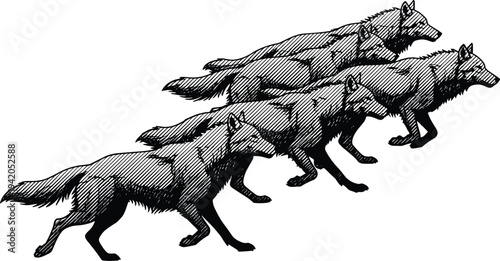 Running Wolf Pack Sketch Vector Illustration with Wild Wolves in Motion, Hand Drawn Wildlife Predator Animal Design