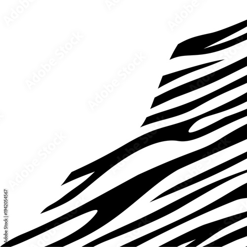 Zebra Pattern Corner