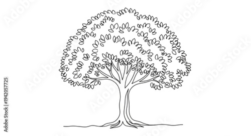 Detailed Illustration of a Large Tree with Full Canopy.