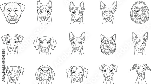 Vector line art collection of diverse dog breed head portraits featuring minimalist stroke illustrations of domestic pets isolated on white background for graphic design