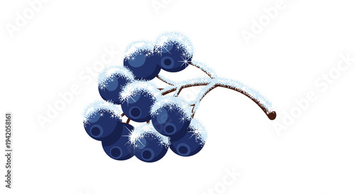 A stylized brown branch holds a cluster of dark blue berries covered in sparkling white frost, depicted on a clean white background.