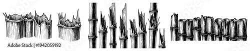 Set of hand drawn broken bamboo stems and stalks in woodcut engraving style