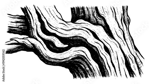 Vintage hand drawn engraving of gnarled tree bark wood grain texture