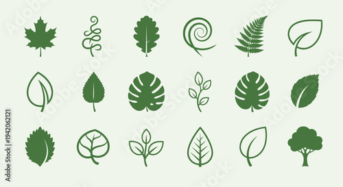 Diverse collection of green leaf shapes including maple, oak, and monstera, on a light gray background, showcasing botany.