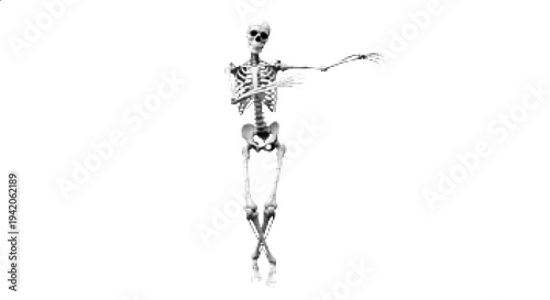 Human Skeleton Dancing Motion Anatomy Illustration
