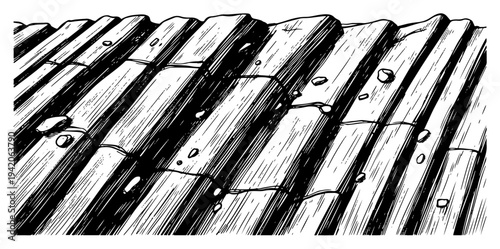Corrugated metal roof texture or ploughed field surface in detailed hand drawn engraving style